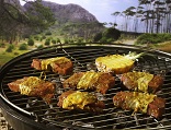 Afrikaanse houthakkers-steak