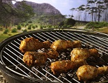 Braai kip